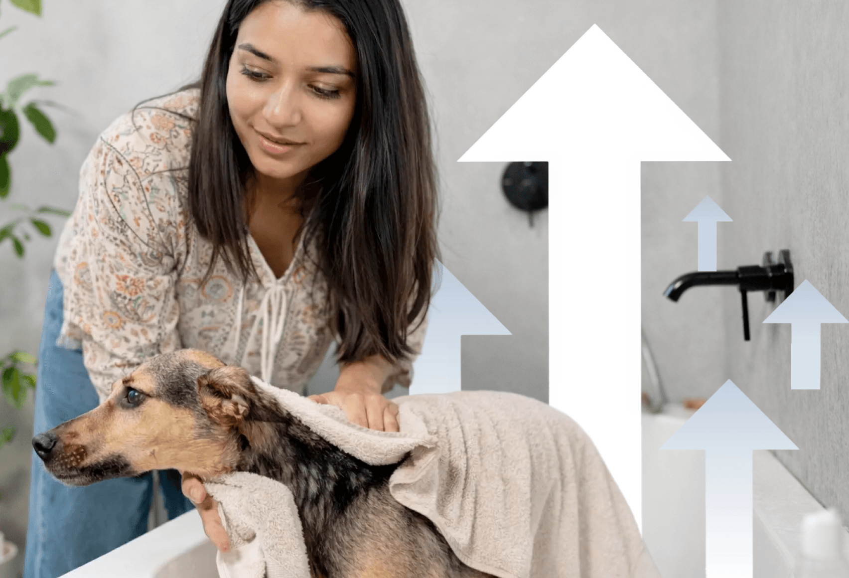 Pet Grooming Business Guide for 2026