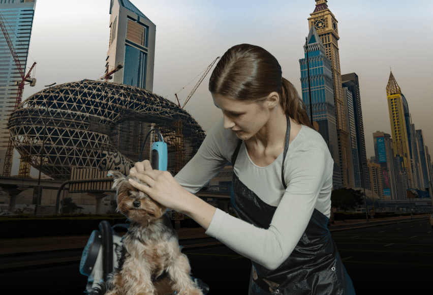 dog grooming courses in UAE